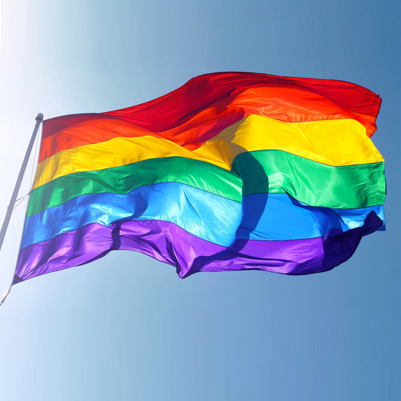 Rainbow Pride Flag