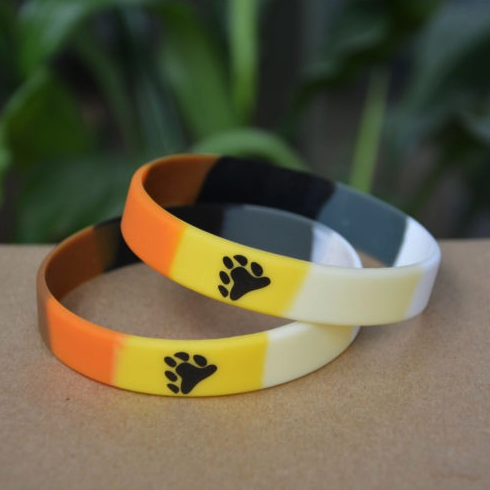 Bear Pride Wristband